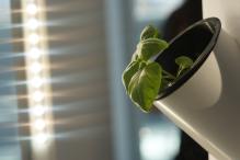 Vertical Farming
