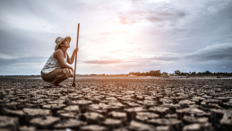 A person looks out over dried up soil
