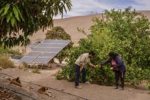 Lemon farmers