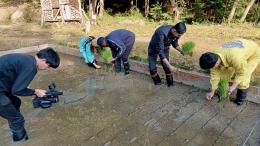 UNU-IAS Experts Plant Rice During the Filming of Nippon TV Programme