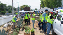 People working with plants on a roadside.