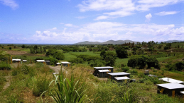 Houses on Fiji