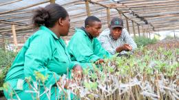 Youth in Uganada Learning How to Grow Apples