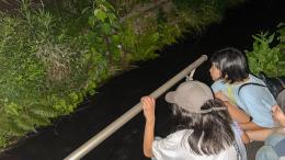 Children looking for fireflies in Kanazawa City 