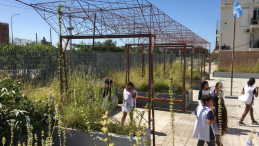 Garden project in a neighbourhood in Buenos Aires, Argentina. 