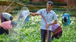 Chairman of the Coffee Plantation Society in Walapane, a mountainous region in the Dry Zone of Nuwara Eliya, Sri Lanka
