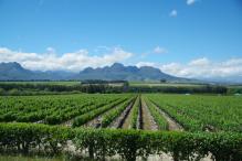 Onder-Papegaaiberg, Western Cape, South Africa