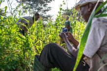 Farmer using smartphone.