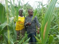 Farmer in the Hwange District, Zimbabwe Photo by Charles Nhemachena.
