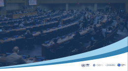 Best Practices to Save Multilateralism 