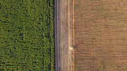 Aerial view highlighting contrasting green crops and harvested fields in rural Russia.