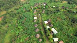 Enset homegardens in southern Ethiopia