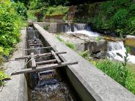Irrigation system
