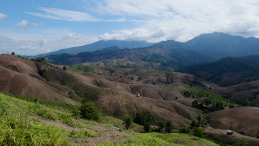Hilly landscape with green and brown pastures