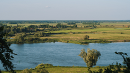 The river Elbe meandering through a landscape of meadows