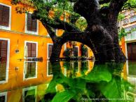 UNU Macau Summer 2026 Edition of COLLECTIVE