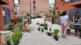 People planting shrubs and other plants in a street. 