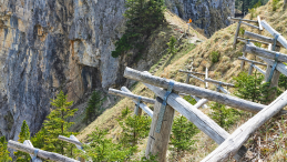Wooden fences for avalanche protection on a mountain slope