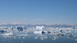 Melting ice off the coast of Greenland.