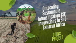 Outscaling SI in Subsharan Africa.png