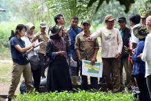 Group of People Talking About Peatlands in Indonesia