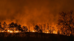 Canada has reported roughly 835 active wildfires in July 2026