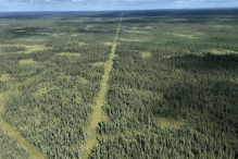 Industrial development is fragmenting Canadas boreal forest