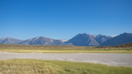 Grasslands with a mountain range in the background.