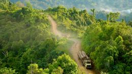 Trucks carrying logs in Gunung Lumut, East Kalimantan, Indonesia