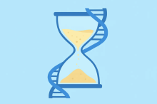 The Biology of Aging
