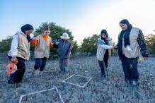 Young people wearing field vests with monitoring equipment  in a mangrove habitat at low tide.