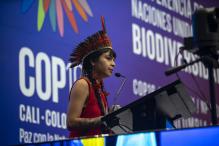Indigenous woman