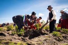 Aymara Community in Peru 