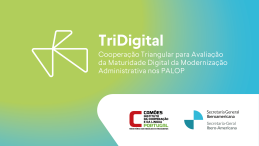 UNU-EGOV_Banner TriDigital