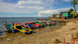 Fishing boats in a bay