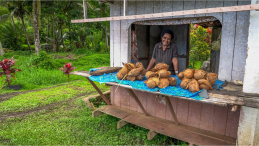 A man selling pineapples from a wooden stall
