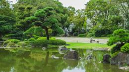 Urban garden in Japan