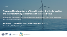 Financing Climate Action in a Time of Scarcity: Grid Modernization and the Transforming to Cleaner and Greener Initiative