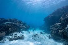 Deep sea bed