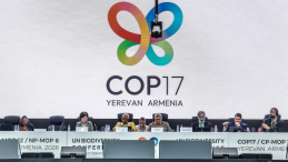 Parties meet at COP 17. 