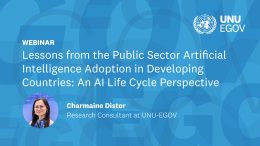 Lessons-from-the-Public-Sector-Artificial-Intelligence-Adoption-in-Developing-Countries--An-AI-Life-Cycle-Perspective