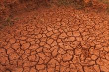 Water bankruptcy decoupling - farmers protest near Amritsar