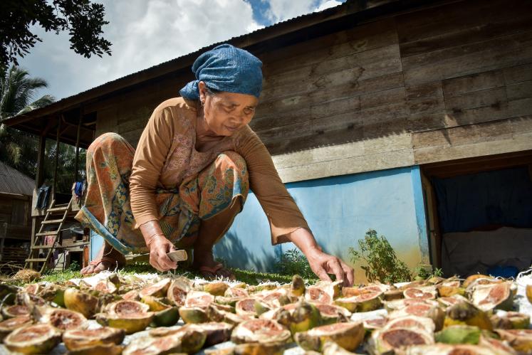 Indonesian woman drying fruit