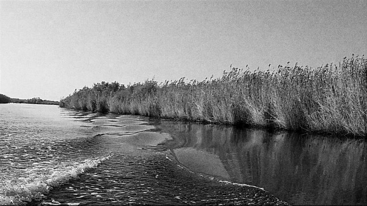 The Evros River, photographed in 2021