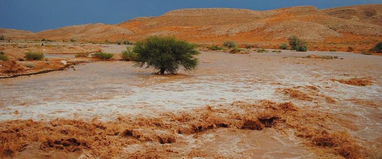 The Lybian Desert