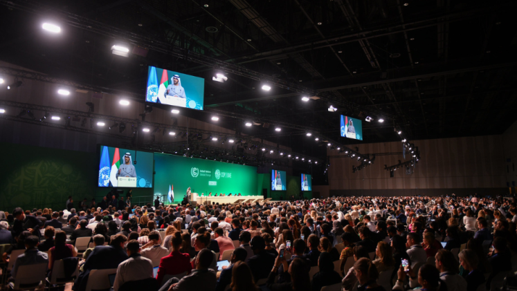 A large conference room at COP28