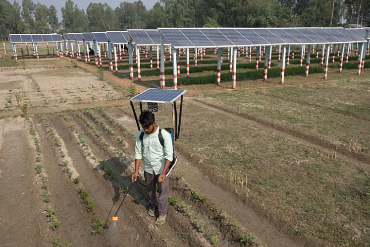 A farmer using solar energy to irrigate crops