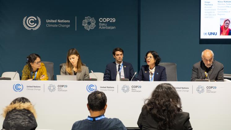 Speakers at a COP29 side event on overcoming siloed policymaking