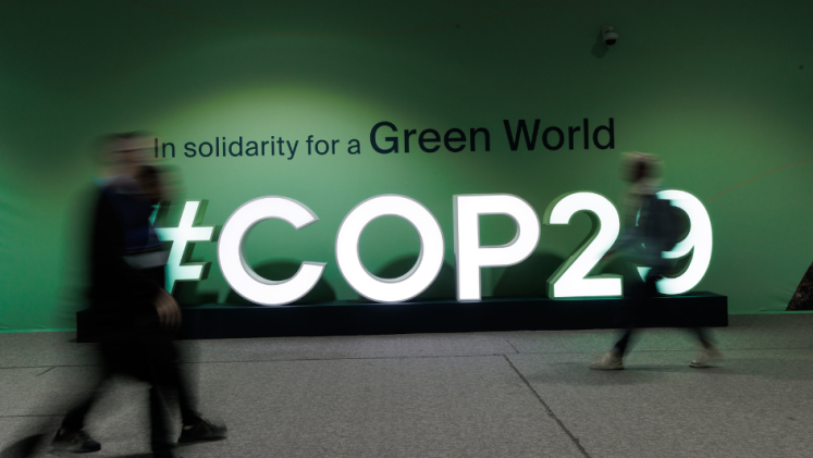 People moving about at COP29