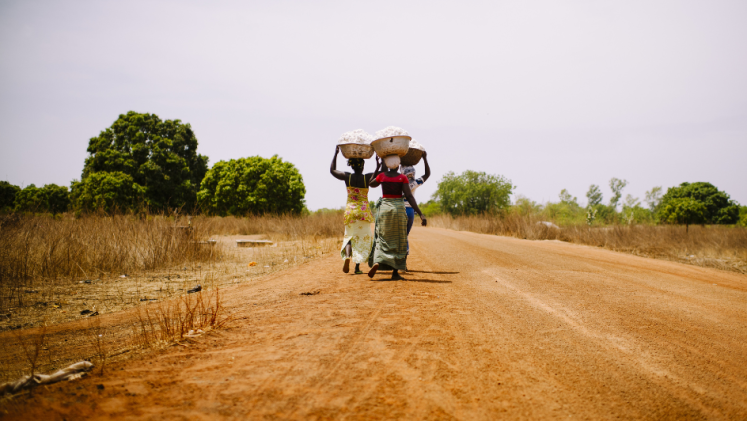 CIFOR/Ollivier Girard